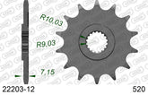 Pignone AFAM 22203-12 passo 520 SUZUKI RM 125 1992  -2011